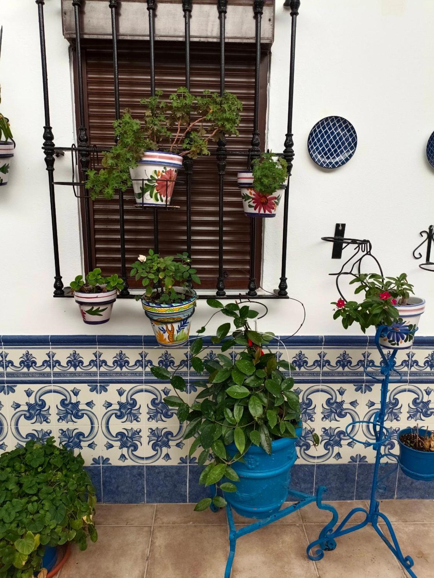 Casa Rural Patio Rociero El Rocío Eksteriør billede